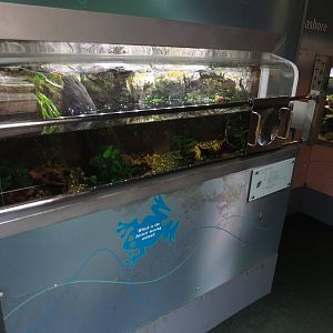 exhibits in BUGS part