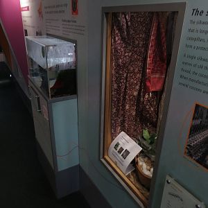 exhibits in BUGS