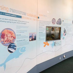 exhibits in BUGS part
