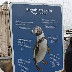 Information sign penguins