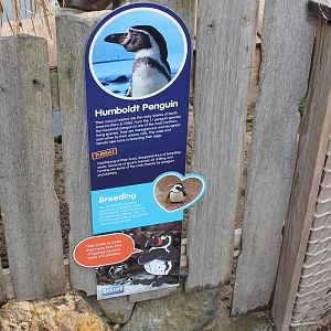 Sign Humbold penguin