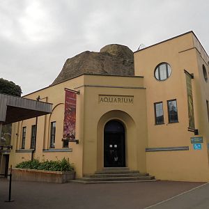 Aquarium entrance 2015.
