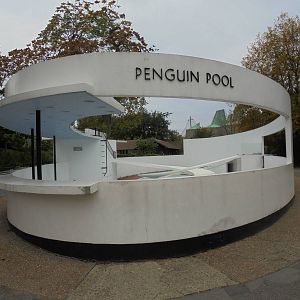 Tecton Lubetkin Penguin Pool 2015