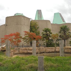 Casson Pavilion 2015