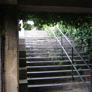 old stairway to Mappins Polar Bear exhibit.
