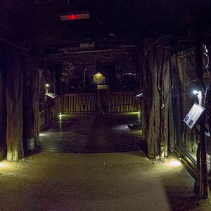 Twilight World (exhibits) : Bristol : 19 Oct 2015