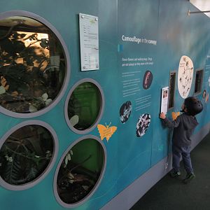 part of BUGS exhibits