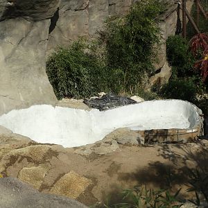 Oct. 2015 - Cat Canyon - Pool Extension Construction (First Tiger Exhibit)