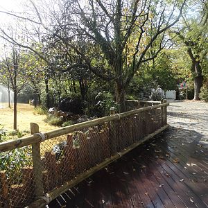 Oct. 2015 - Rhino Reserve - New Okapi Yard Extension + Viewing