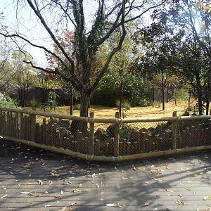 Oct. 2015 - Rhino Reserve - New Okapi Yard Entension + Viewing