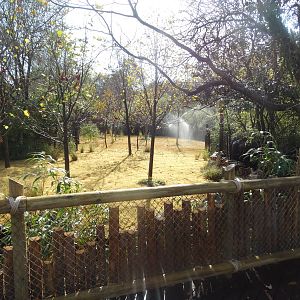 Oct. 2015 - Rhino Reserve - New Okapi Yard Extension