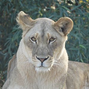 Oct. 2015 - Africa - Imani