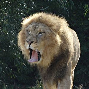 Oct. 2015 - Africa - John