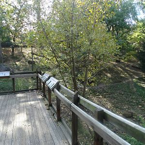 Oct. 2015 - Wolf Woods - Mexican Wolf Exhibit