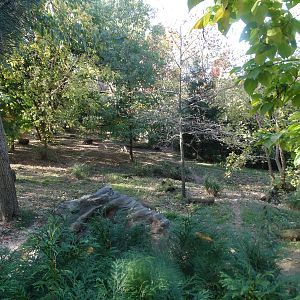 Oct. 2015 - Wolf Woods - Mexican Wolf Exhibit (Find 2)