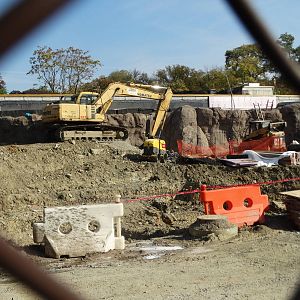 Oct. 2015 - Africa - Future Hippo Exhibit