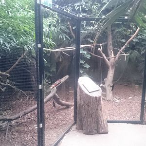 Aviary in the Asian part of the Tropical house