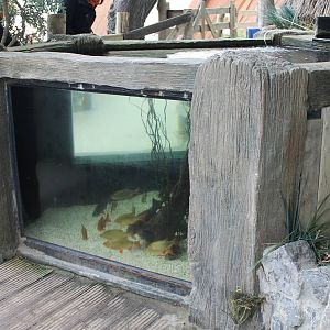 Another dutch outdoor aquarium