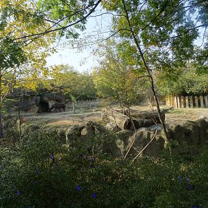 Oct. 2015 - Rhino Reserve - Black Rhino Exhibit
