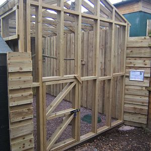 New African Spotted Owl Aviary