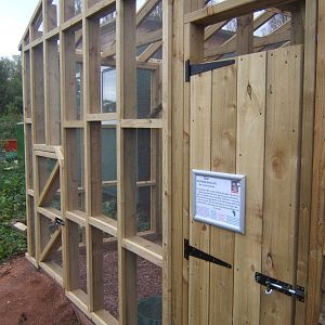 View of new Owl Aviary in new section of the collection