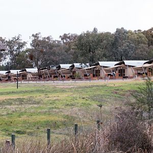 New accomodation at Zoofari Lodge