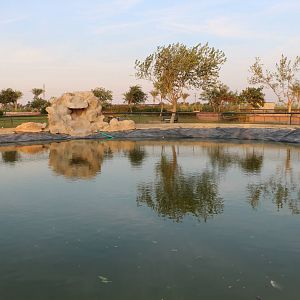 Pool - Master Zoo, October 2015