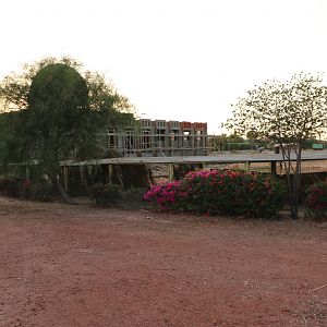 Peacock run - Master Zoo, October 2015