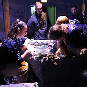 Educational touchpool