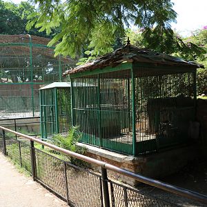 Small carnivore cages, October 2015