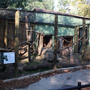 North American Porcupine Exhibit