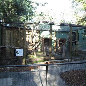 North American Porcupine Exhibit