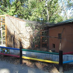 Nine-banded Armadillo, Blue-gray Tanager, and Red-capped Cardinal Exhibit