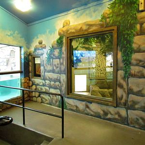 South America Exhibit - Penguin Viewing