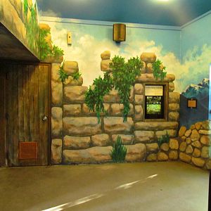 South America Exhibit - Penguin Viewing