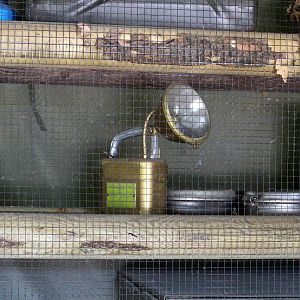 African Plains Exhibit