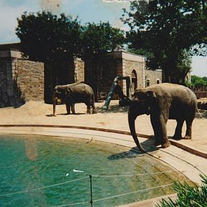 Old pictures of the National zoo