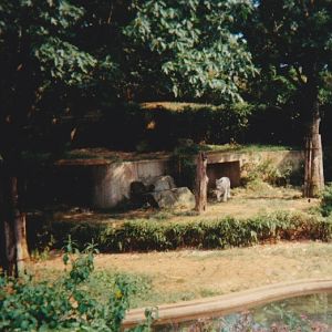 Old pictures of the National zoo