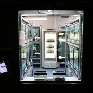 Window into the breeding area, September 2015