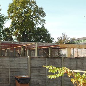 Walled Gardens Aviary Renovation (Currently Off-Show)