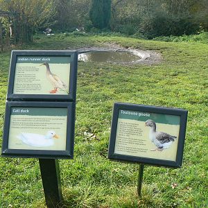 Signage and Enclosure- 26 October 2015