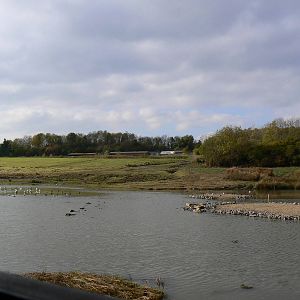 View - 26 October 2015