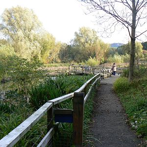 View - 26 October 2015