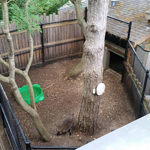 Jul. 2014 - Children's Zoo - Extended Exhibit (Taken From the Roof)
