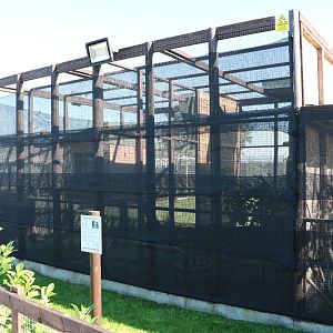 Owl enclosures - Fen Bell Inn, October 2015