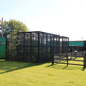 Monkey walk - Fen Bell Inn, October 2015
