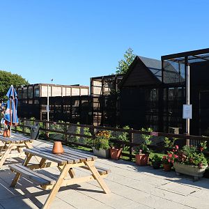 Beer garden and enclosures - Fen Bell Inn, October 2015