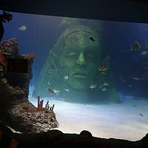 Main tank viewing window, September 2015