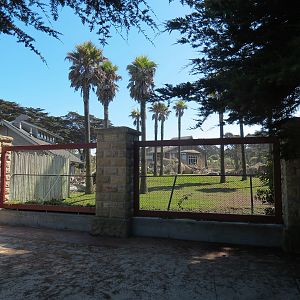 Entry Village - African Savanna Viewing Outside Entrance
