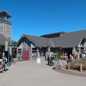 Entry Village - Wildlife Connection Shop and Services Buildings